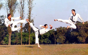 Arte marcial coreana