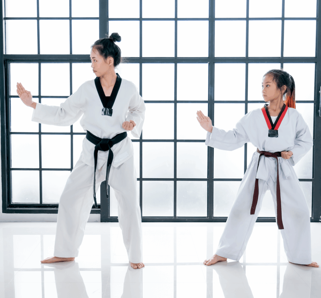 Taekwondo WT - Academia Paulista de Taekwondo